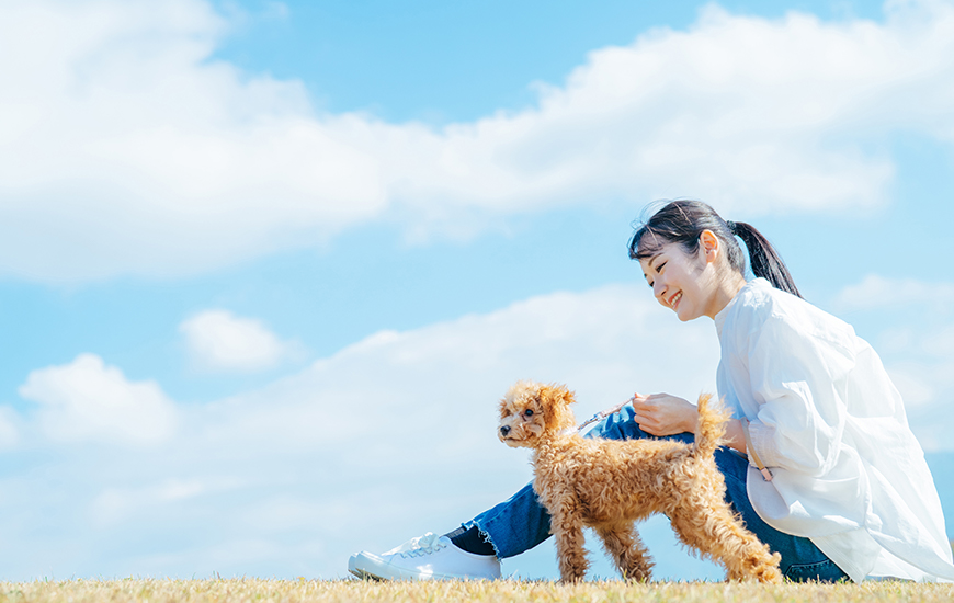 最愛のペットに、医療サポートを提供することをお約束いたします