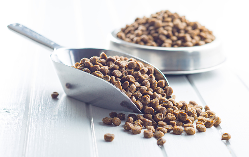 ウェルネス・プログラム